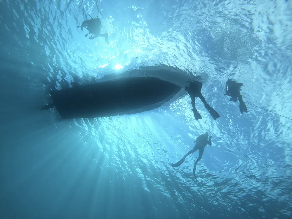 Buceo