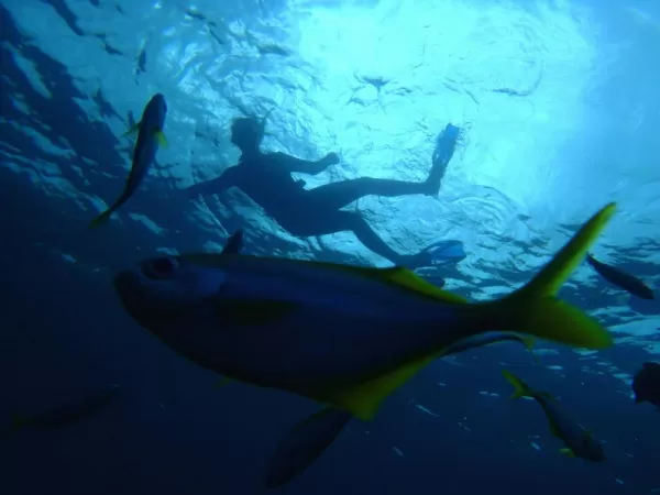 Descubre nuestras aventuras submarinas