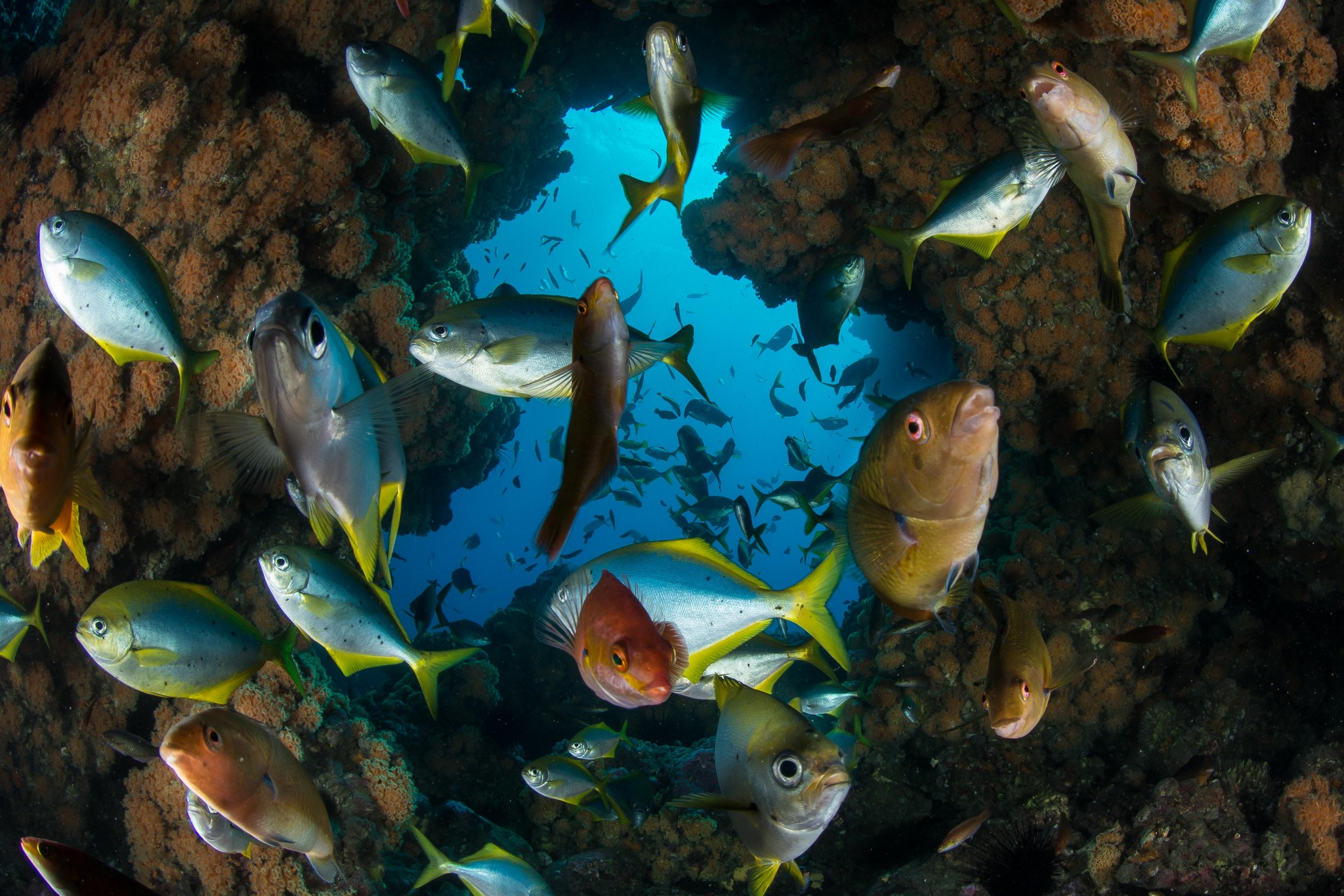 Descubre nuestras aventuras submarinas