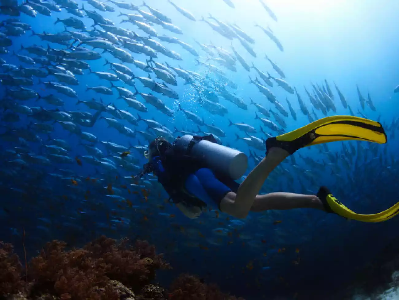 Descubre nuestras aventuras submarinas