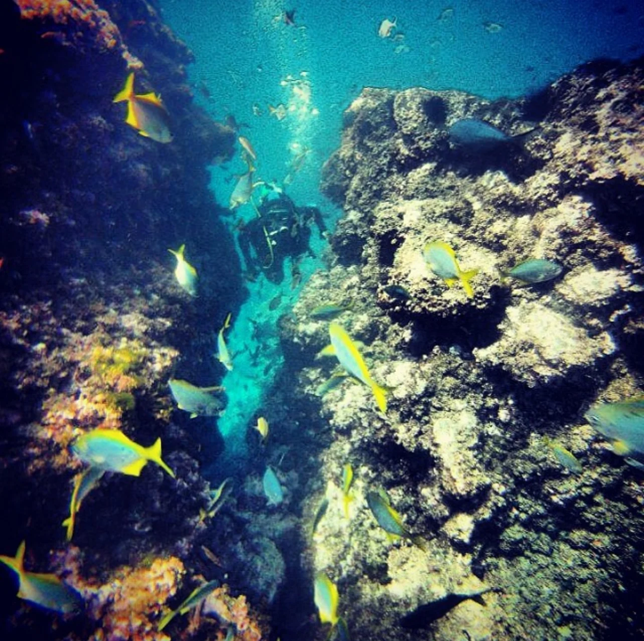 Descubre nuestras aventuras submarinas