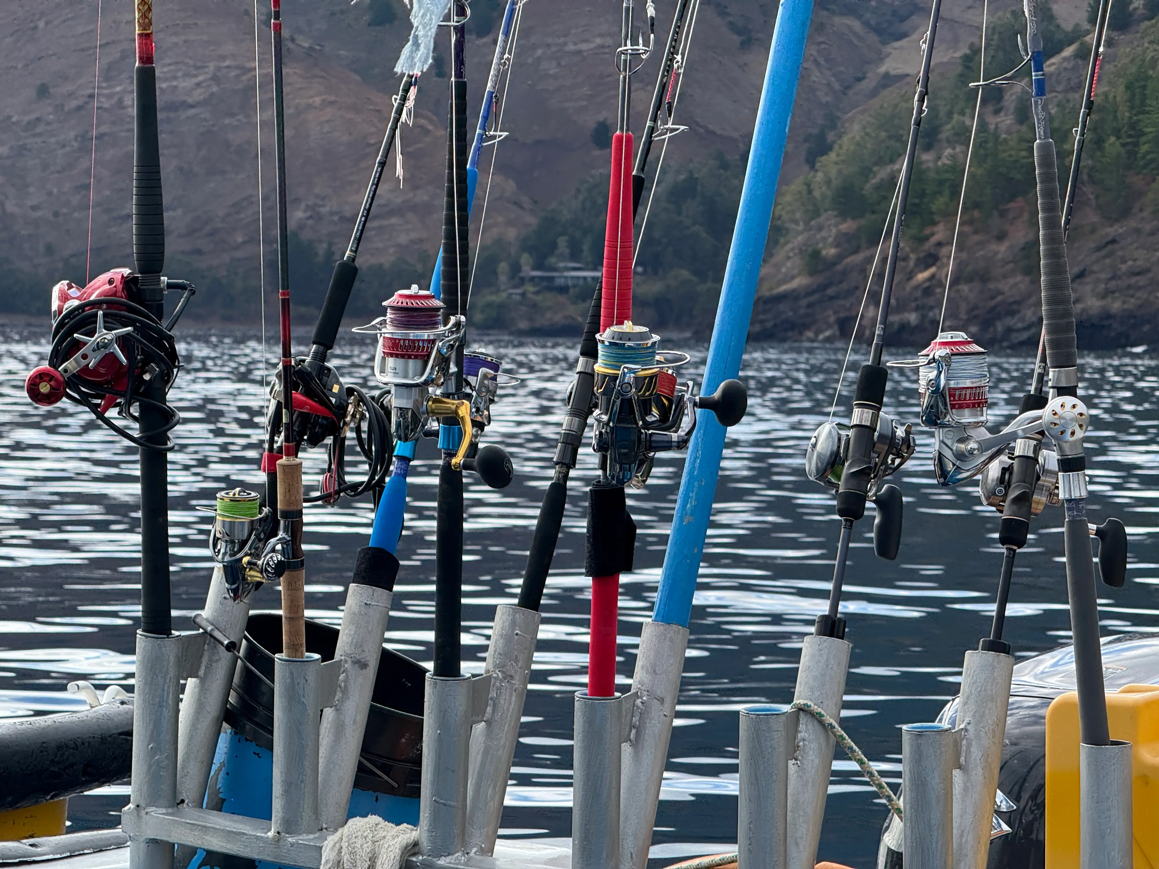 Descubre nuestra experiencia de pesca