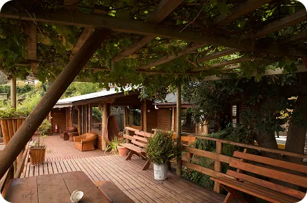 Descubre nuestras instalaciones